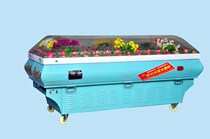 National joint protection ice coffin unique shape frozen coffin funeral home with crystal coffin ice coffin refrigerated coffin frozen coffin 16P