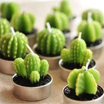 creative zakka grocery small ornament cactus succulent plant mini candle smokeless candle gift box gift