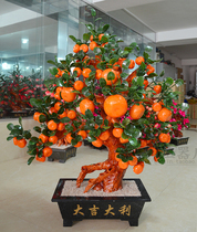 Jade bonsai 68 orange tree Jade potted living room office Hotel ornaments home accessories can be customized