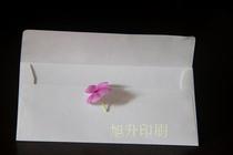 5 blank no word envelope Western envelope White postcard envelope Kraft paper greeting card envelope