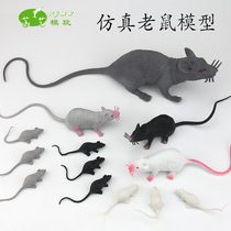 Simulated mouse model plastic white gray black rat shooting photo props teaching and trick fool fool ghost festival childrens toys