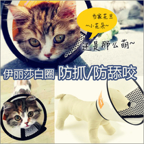 Elizabeth Snare Pet Items Ring Dogs Anti-Bite Beauty Hood Cat Dog Headgear