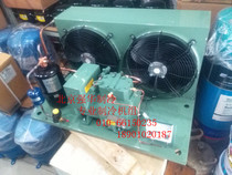Bizer refrigeration compression unit 2GC-2 2 2GES-2Y 2P 2 Cold Depot Refrigeration Refreshing Freezer Group