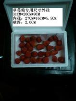 Ginseng fresh ginseng wild ginseng mountain ginseng foam box 1 5kg strawberry box foam
