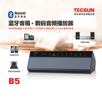 tecsun B5 Bluetooth speaker plug-in card 3D sound player FM radio(distribution 4G card)