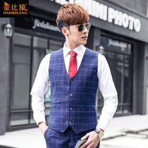 Hao than wolf mens plaid suit vest slim Korean version of tide British style business leisure gentleman small vest spring and autumn