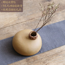 Yixing handmade Japanese thick ceramic flowerpot multi-meat personality creative simple potted hydroponic green plant vase tea props