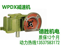 WPDX50 60 70 80 100 120 reducer worm gear box 1 10-15-20-25-30-40-5060