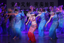 Dance Modern Dance Modern Dance Art Performance Costumes Folk Dance Costumes Professional Order