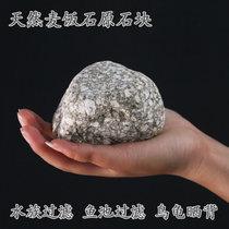 Natural Medical Stone Fish Tank Aquarium Water Fish Pond Filter Material Water Purification Granules Large Turtle Sun-Back Stone Building View