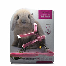 Card cool liu tu sheng rabbit leash