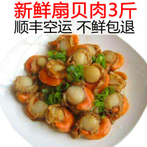 Big scallop meat 1500g fresh frozen scallop meat frozen Ezo shellfish Seafood Aquatic products SF