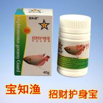 Baozhi Yu Zhaocai body treasure cure lucky fish red spot rotten body disease fish medicine recruiting money rotten body medicine