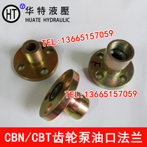 Oil pump gear pump CBN CBT E F G 304 306 310 314 316 oil port joint flange