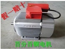 220v QL280 380 type high pressure cleaning machine car washing machine special motor