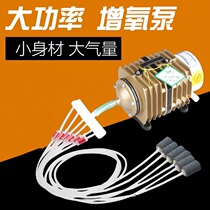 Hotel Restaurant With Atmospheric Volume 0 Oxygenation Pump Oxygen Pump Fish Fish Vending Machine