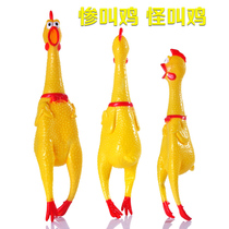 Large screaming chicken Net red shaking sound toy whole person hair chicken creative gift stall toy below 5 yuan