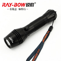 Ruibao RB627-1 outdoor waterproof strong light flashlight multi-function rechargeable long-range night riding