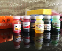 Dog tag Transparent water color Transparent watercolor pigment Photo complementary color pigment 12 color set hand-painted design pigment