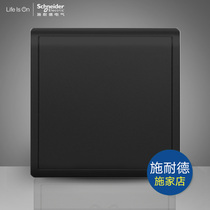 Schneider switch socket Fengshan series write in black blank blank panel white board 86 type wall panel white cover plate