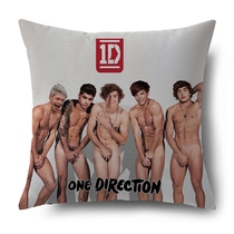 One direction 1D small broken Group cushion double-sided big pillow official perimeter DPW597