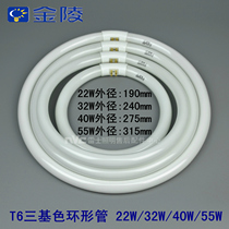 Golden Ling T5T6 three-base color ring management YH22W32W40W55W white light RR6500K4000K yellow light RD2700K