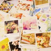 Pure Blank Back Message Card Universal Small Card Wish Card Flower card 30 sheets