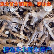 Selected northeast wild special produce wearing mountain dragon string earth worm wearing keel wearing earthworm 250 gr