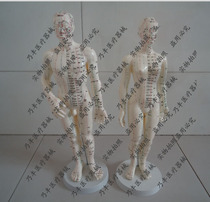 Special * Acupuncture and moxibustion human model Acupuncture and moxibustion human acupuncture point model men 50cm women 48cm