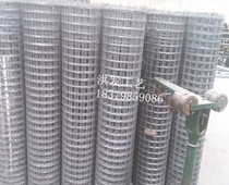 Steel wire mesh screen Stainless steel products Iron mesh fence Breeding chicken iron mesh warehouse factory isolation fence