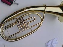 (ROYALL) secondary Alto E-460
