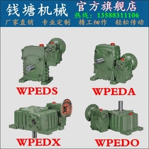 WPEDA WPEDS WPEDX WPEDO reducer 40-70 50-80 60-100 70-120 gearbox