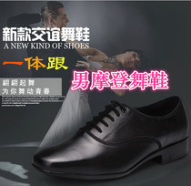 Cool color Betty 301 Mens Morden Dance Shoe Mens Latin Ballroom Dancing Shoes Real Cow Leather Soft Bottom