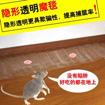 Mouse sticky mouse board mousetrap Mouse sticky mouse board Mouse clip Transparent magic carpet