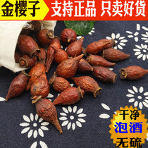 Chinese herbal medicine Guangxi Jin Yingzi wild dried 500g fresh sparkling wine Male premium Jin Yingzi Tea Jin Yingzi