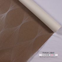 Sweden imported paper wallpaper spot original special price Curry color geometric lines background wall pure paper