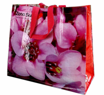 New export fashion environmental protection shopping bag waterproof foldable supermarket large capacity Baihua portable shoulder bag