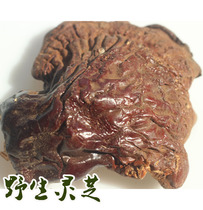 Wild Lingzhi Changbai Mountain wild Mountain red Lucid Lucid Lucid and Intense Bitter and Bitter Brew of Herbs Medicinal Herbs of Wild Lucid Lucid