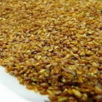 Sichuan Liangshan natural super black Buckwheat tea original germ buckwheat tea 20 yuan 500g