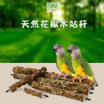 Angie Pate Brother thrush parrot pepper station stick stick stick stick stick stick stick bar bird toy