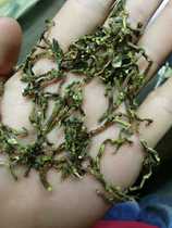 2021 New Tieguanyin tea stalk tea branches clean taste to methanol as a pillow with 2500 grams of five pounds from Jiangsu Zhejiang and Shanghai