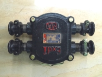 BHD2-40 660 (380) -4T Mining flame-proof low pressure cable junction box H type junction box