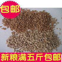 Wheat barley chicken duck goose pigeon feed one piece equal to 2kg