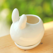 Succulents flower pot ZAKKA White Ceramic flower pot Rabbit Little White Rabbit home decoration