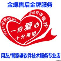 Golden Butterfly Software Maintenance Remote Service Problem Handling Ledger Repair Any Print Setup Repair Professional