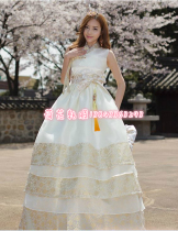 Korean ethnic costume Bride wedding wedding toast dress Korean Lady hanbok H-G01300