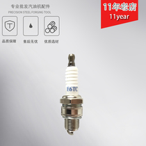 Spark plug gasoline generator accessories Robin EY20 spark plug EY28 spark plug