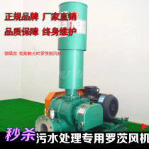 SWR50-300 Series Roots Blower Three Leaf Roots Blower Oxygen Equipment Roots Vacuum Pump