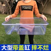 Nomo turtle tank with drying table with cover Plastic large turtle box turtle tank Pet crocodile turtle tank large ecological turtle basin