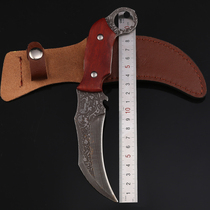Claw knife Outdoor knife Machete multifunctional straight knife High hardness sharp knife Saber self-defense supplies